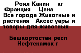  Роял Канин 20 кг Франция! › Цена ­ 3 520 - Все города Животные и растения » Аксесcуары и товары для животных   . Башкортостан респ.,Нефтекамск г.